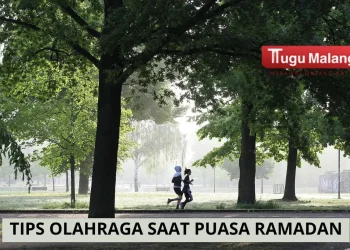 tips olahraga