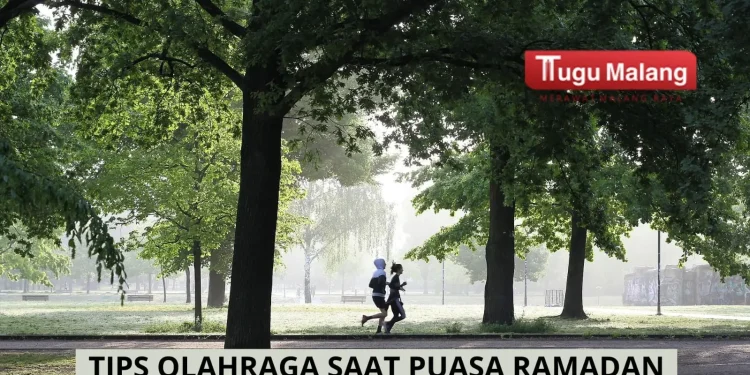 tips olahraga