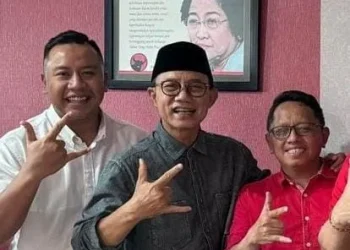 PDI Perjuangan