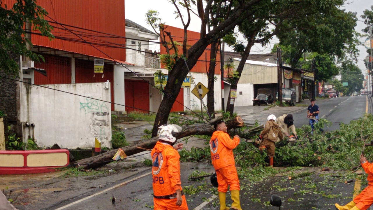 Petugas evakuasi pohon tumbang di Singosari. Foto: Polsek Singosari