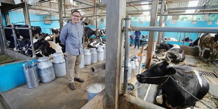 Pj Wali Kota Batu, Aries Agung Paewai, berkunjung ke salah satu peternak sapi perah sukses di Desa Tlekung, Junrejo. Produk turunannya mulai olahan keju hingga butter. Foto: Prokopim KWB