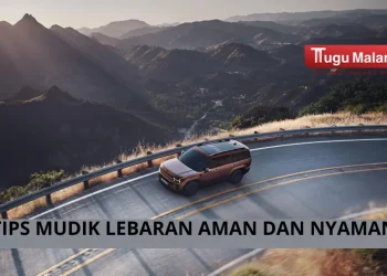 5 tips mudik Lebaran agar aman dan nyaman /Foto: pexels.com/ Hyundai Motor Group
