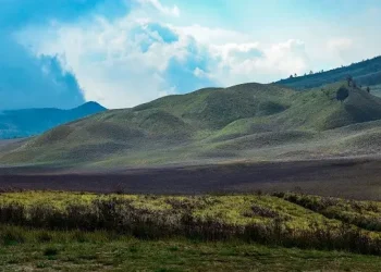 Bukit Teletubbies Gunung Bromo Semeru. Foto/Google Review/Fathonikudo