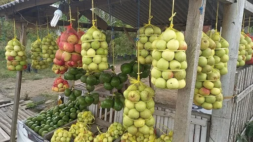 Produksi apel Poncokusumo, Kabupaten Malang, terus menurun. Foto: Aisyah Nawangsari Putri