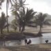 Pantai Wonorogo yang sempat viral, memiliki aliran sungai eksotis sebagai daya tarik /Foto: Tangkapan layar YouTube Niko_Channel