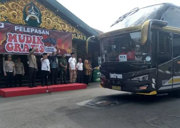 peserta mudik gratis
