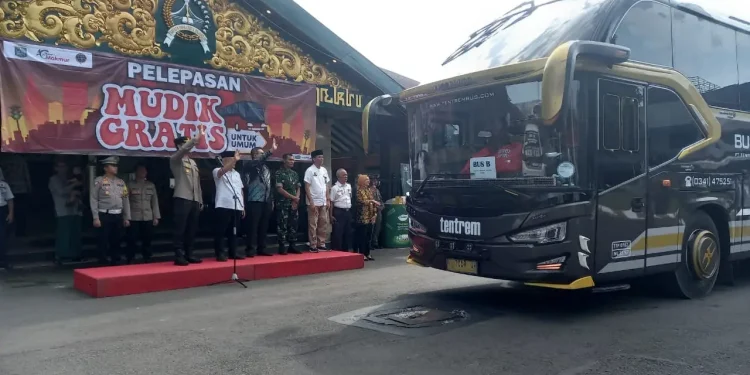 peserta mudik gratis