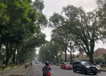 Jalan Ijen