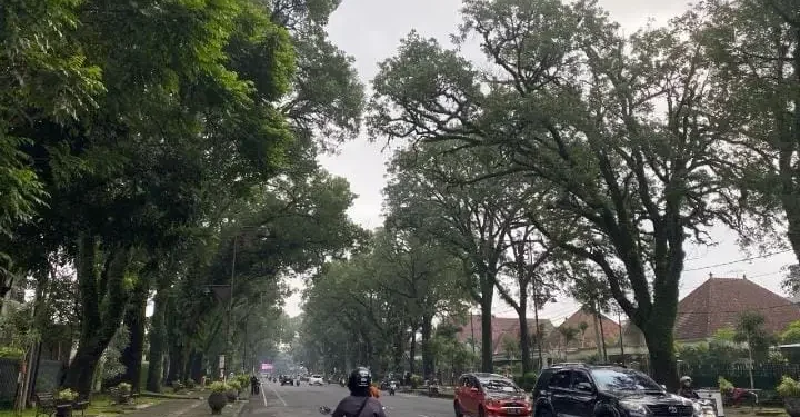 Jalan Ijen