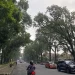 Jalan Ijen