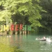 wisata sumber sira