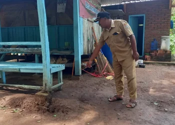 Aniaya tetangga hingga tewas