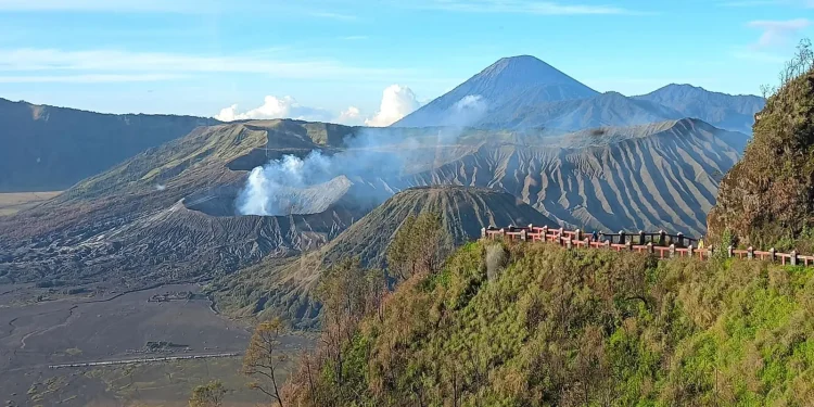 Bromo