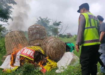 Petugas Satreskrim Polres Batu saat membakar peralatan judi sabung ayam yang ditemukan di lokasi arena judi sabung ayam di Kota Batu. Foto: Polres Batu