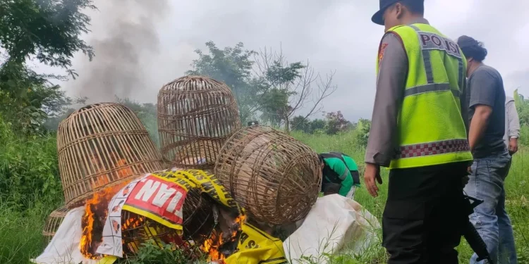 Petugas Satreskrim Polres Batu saat membakar peralatan judi sabung ayam yang ditemukan di lokasi arena judi sabung ayam di Kota Batu. Foto: Polres Batu