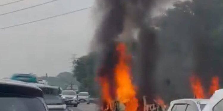 Insiden kecelakaan maut terjadi di Jalan Tol Jakarta-Cikampek KM 58, Senin (8/4/2024) pagi /Foto: Tangkapan layar akun media sosial X, @aryprasetyo85