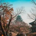 LPDP buka beasiswa ke Korea Selatan/Foto: Louie Nicolo Nimor/Unsplash