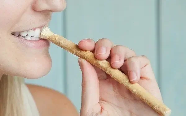 Ilustrasi manfaat siwak. Foto/UMSU