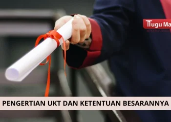 Penjelasan tentang UKT beserta ketentuan besarannya yang berbeda-beda bagi mahasiswa /Foto: pexels.com/Gul Isik
