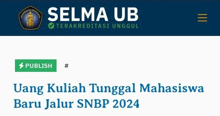 Platform resmi untuk mengakses keakuratan UKT Universitas Brawijaya. Foto/tangkap layar selma.ub.ac.id