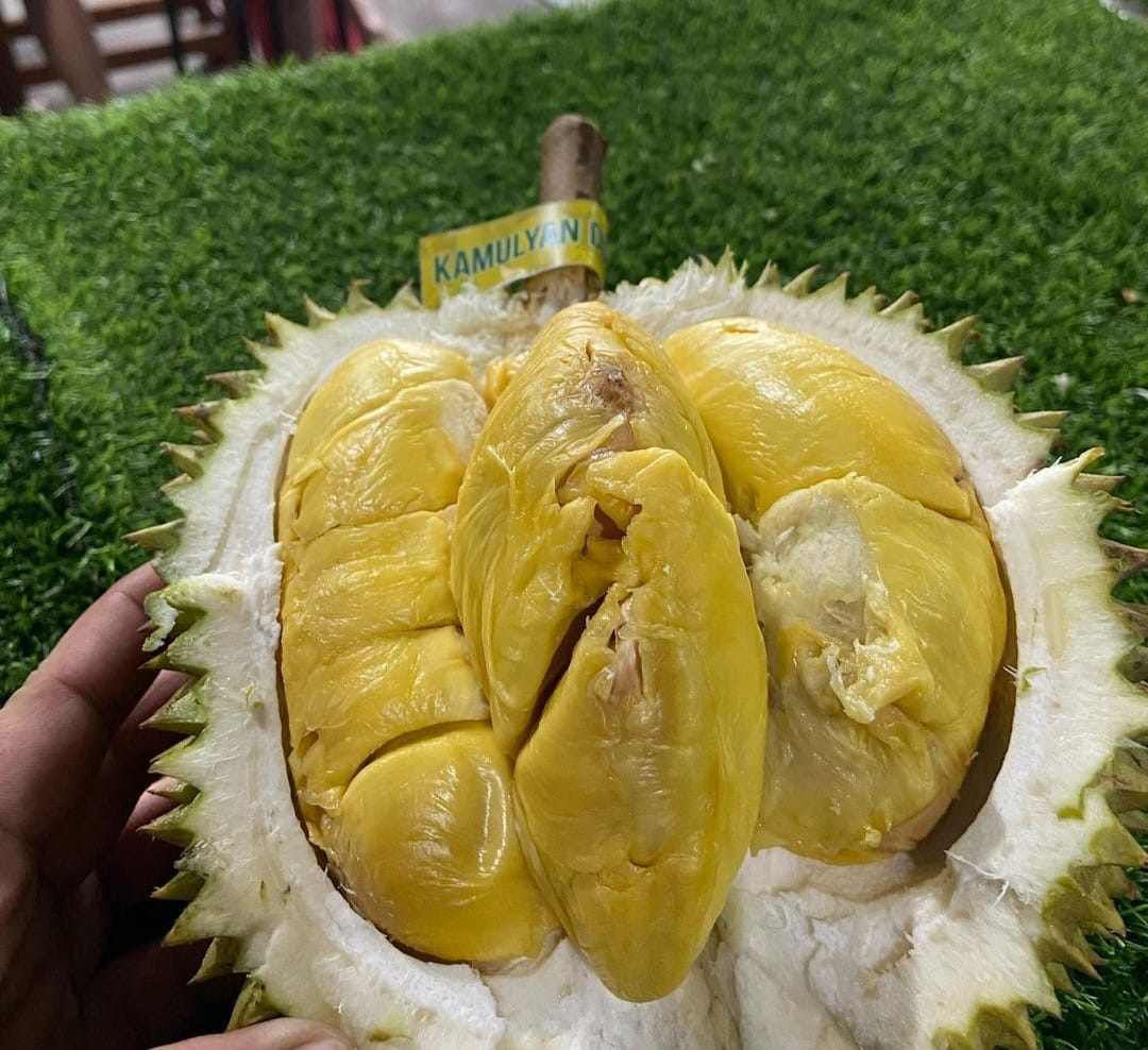 Kamulyan Durian/Foto: Instagram @kamulyan_durian.