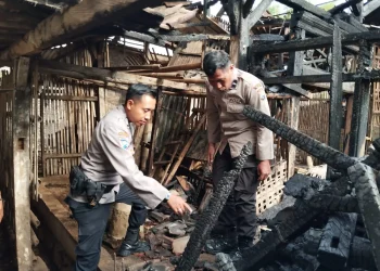 Petugas kepolisian melakukan pemeriksaan di lokasi kandang ayam yang kebakaran. Foto: Polsek Karangploso