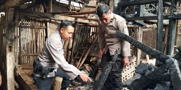 Petugas kepolisian melakukan pemeriksaan di lokasi kandang ayam yang kebakaran. Foto: Polsek Karangploso