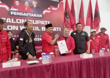 PDI Perjuangan