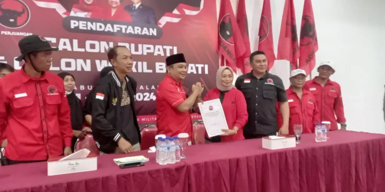 PDI Perjuangan