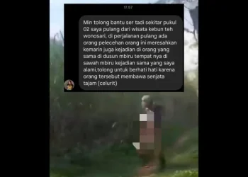 pelecehan seksual
