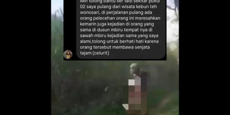 pelecehan seksual