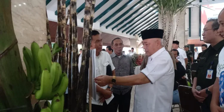 ketahanan pangan