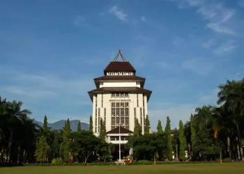 kampus