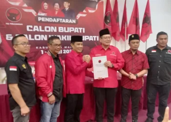 PDI Perjuangan