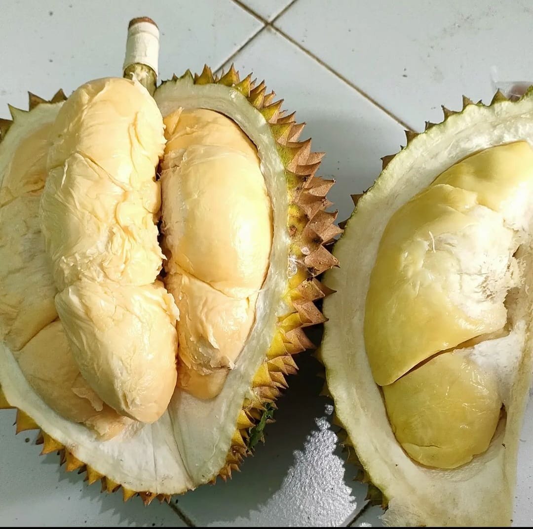 Irham Durian/Foto: Instagram @irham.durian.