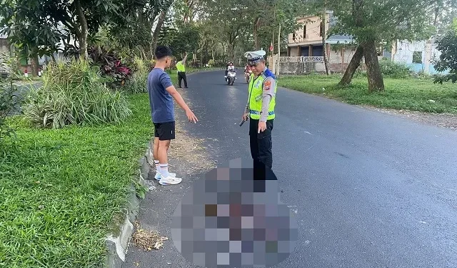 Lokasi jatuh Kades Glanggang, Pakisaji, yang kemudian meninggal dunia. Foto: Satlantas Polres Malang