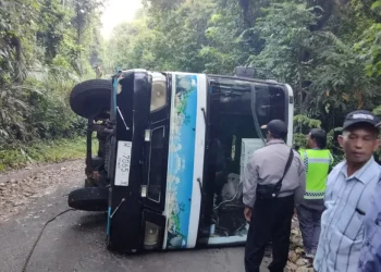 Bus terguling di Balekambang akibat tak kuat menanjak. Foto: Polsek Bantur