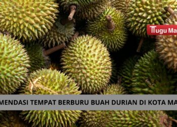 Rekomendasi tempat berburu durian di Kota Malang bagi para pecinta durian /Foto: pexels.com/Jeffry Surianto