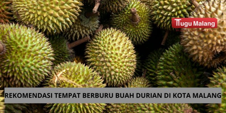 Rekomendasi tempat berburu durian di Kota Malang bagi para pecinta durian /Foto: pexels.com/Jeffry Surianto