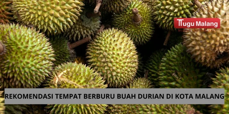 Rekomendasi tempat berburu durian di Kota Malang bagi para pecinta durian /Foto: pexels.com/Jeffry Surianto