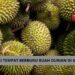 Rekomendasi tempat berburu durian di Kota Malang bagi para pecinta durian /Foto: pexels.com/Jeffry Surianto