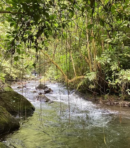 Salah Satu Foto Arus yang Harus Disebrangi saat Tracking menuju Coban Srikandi / Foto : Yafia Carnelia