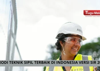 10 universitas dengan Prodi Teknik Sipil terbaik di Indonesia versi SIR 2024 /Foto: pixabay.com/ This is Engineering.