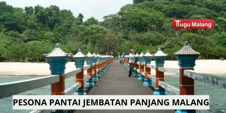 Informasi Pantai Jembatan Panjang Malang sebagai destinasi wisata hidden gem di Kabupaten Malang /Foto: Google Maps Pantai Jembatan Panjang Malang
