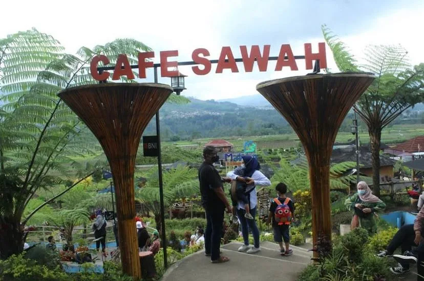 Cafe Pujon Kidul, salah satu cafe berkonsep alam di Malang. Foto/Instagram @cafesawah_pujonkidul