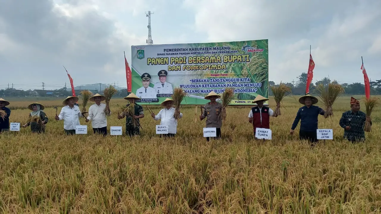 Lahan pertanian