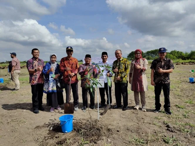 Penanaman pohon