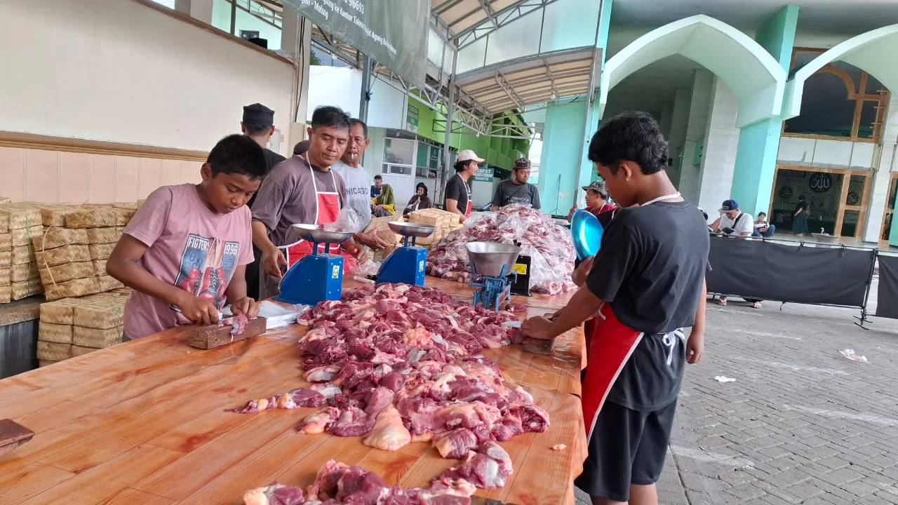 sembelih sapi