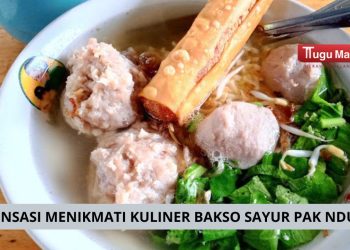 Rekomendasi Bakso Sayur
