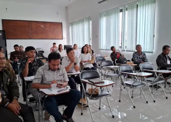 Aliansi petani indonesia